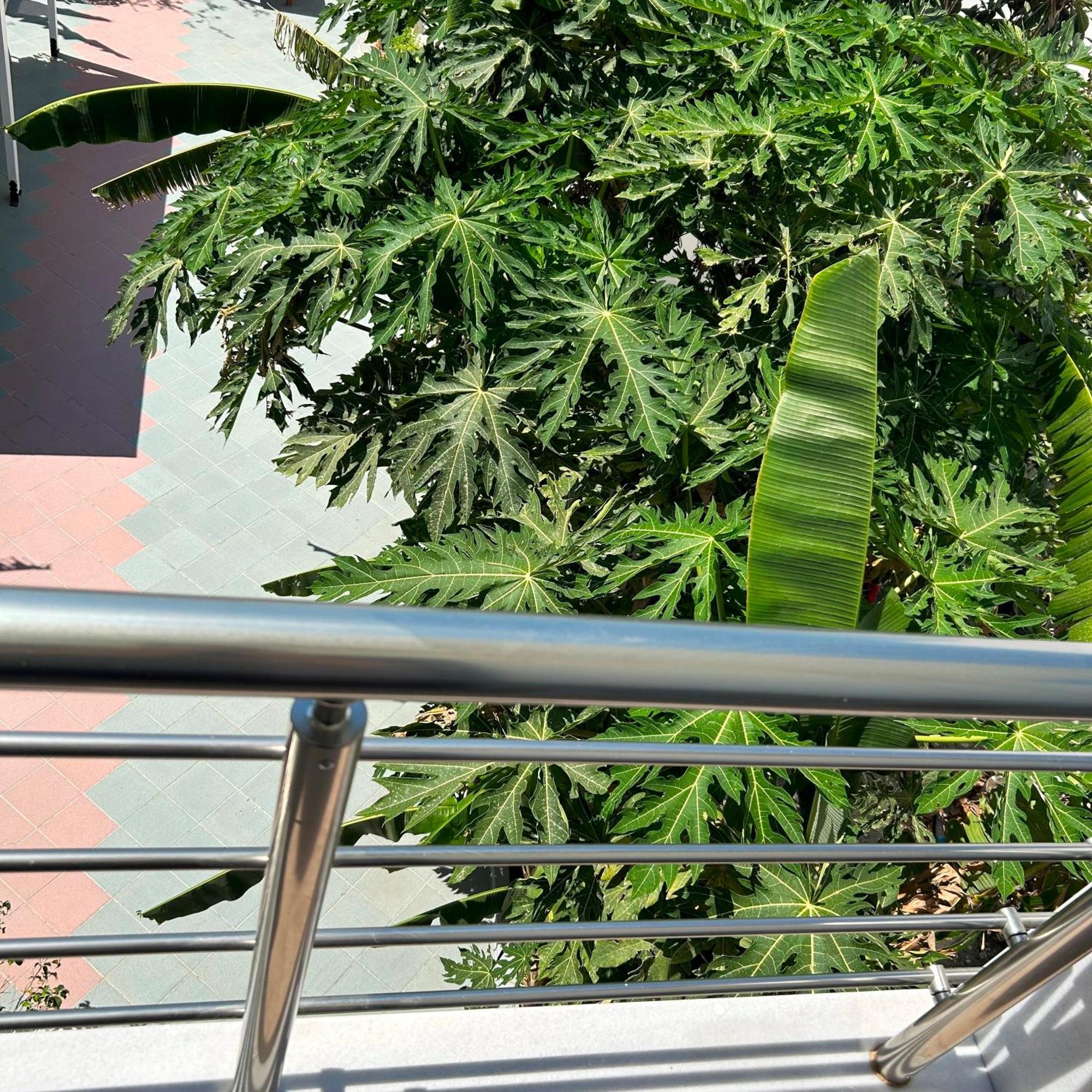 Sea Breeze Hotel Mastichari  Ngoại thất bức ảnh